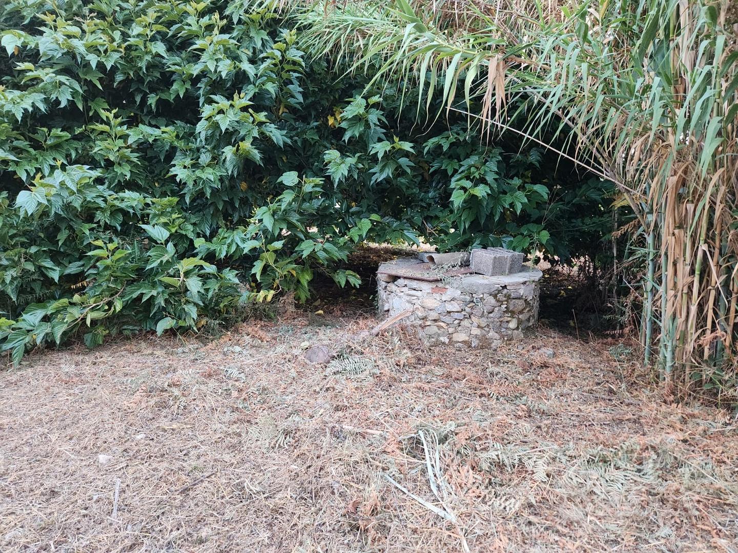 Capanna con terreno . - Vista 3