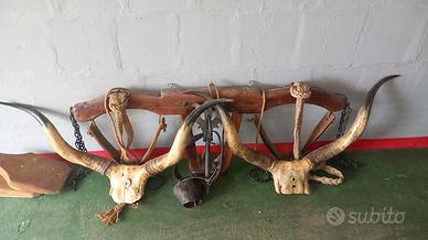 Giogo buoi