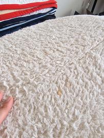 agnellino sottosella