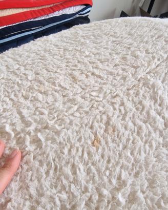 agnellino sottosella