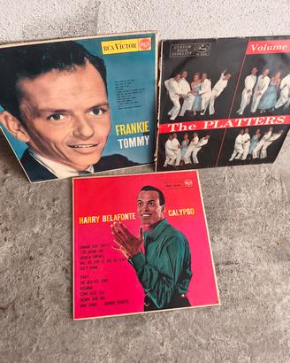 dischi LP 33,45 giri