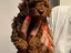 Immagine 4