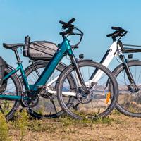 Ebikes Fiido C11