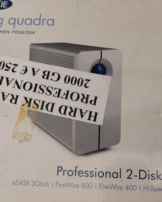hard disk professionale