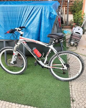 Bici bottecchia FX 520