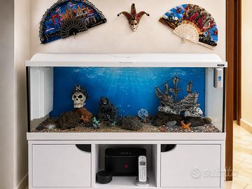 Acquario per pesci