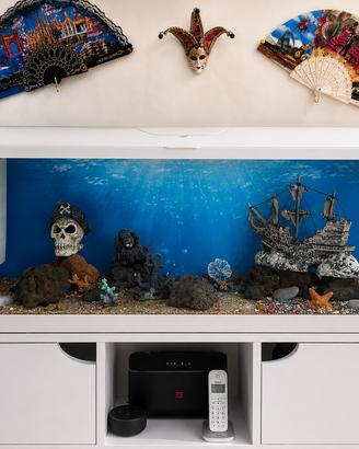 Acquario per pesci