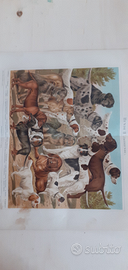 6 Stampe antiche Tedesche 1897 animali vari