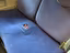 Immagine 12