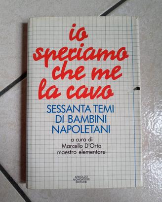 Io speriamo che me la cavo