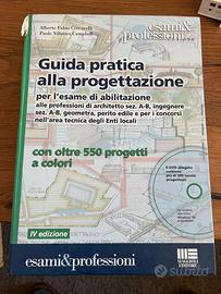 Guida pratica alla progettazione per esame abilit.