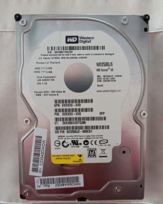 Hard Disk WD 250 GB 3.5" Interno