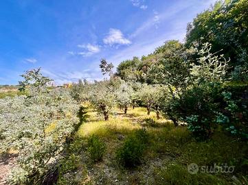 TER. AGRICOLO A FINALE LIGURE