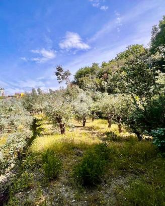TER. AGRICOLO A FINALE LIGURE