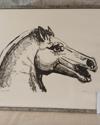 quadro