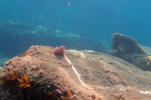 Appartamento circa 100mq