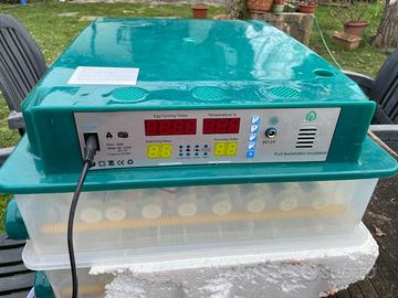 Incubatrice per uova automatica