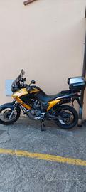 splendida Honda transalp  xl 700V