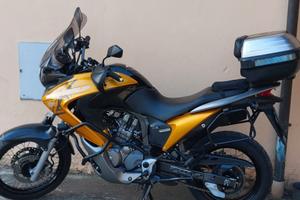 splendida Honda transalp  xl 700V