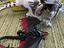 Immagine 1