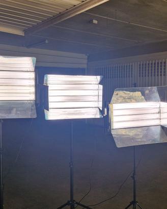 Fari Lupo Neon Quadrilight 2000