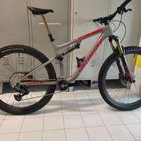 Specialized Epic EVO Taglia L