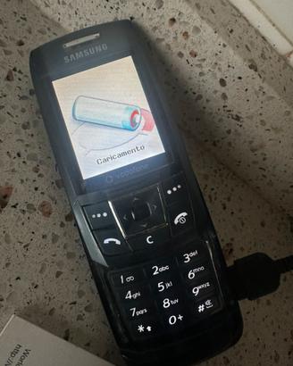 Cell Samsung sgh e250