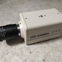 CCD camera IRIS mod.590020