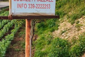 Locale-Magazzino_ A.ffittas.I_Polignano a Mare