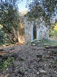 Terre agrumeti