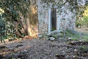 Terre agrumeti