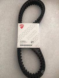 Cinghie distribuzione Ducati