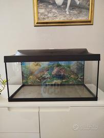 Acquario Tetra 60 LT.