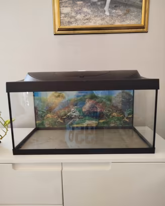 Acquario Tetra 60 LT.