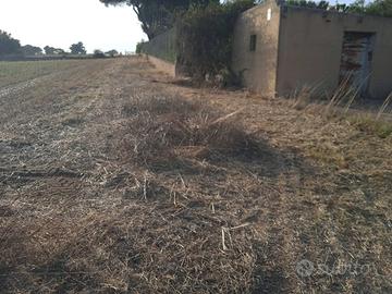 Terreno con casa