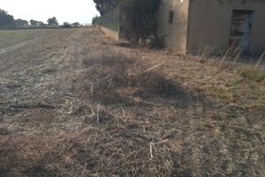Terreno con casa