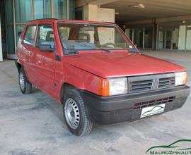 FIAT PANDA 1100 i.e. cat Young