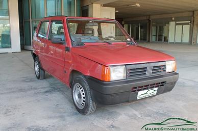 FIAT PANDA 1100 i.e. cat Young