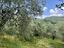 Immagine 7