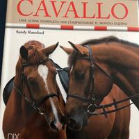 Enciclopedia del cavallo di Sandy Ransford