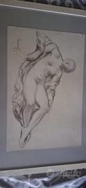 Carboncino  31 x 47  carlo sbisia 