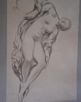 Carboncino  31 x 47  carlo sbisia 