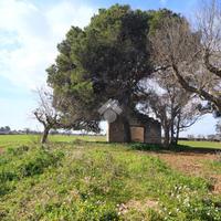 CASA DI CORTE A NARDÒ
