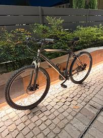 MTB daytona