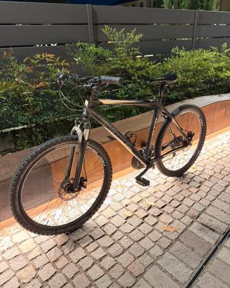 MTB daytona