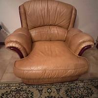 Divano e poltrone in pelle