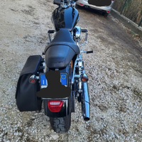 Sportster XL1200C Custom Vivid Black