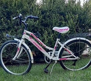 BICICLETTA CASADEI LINCY 24”