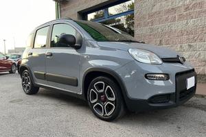 FIAT Panda 1.0 FIREFLY HYBRID 70CV CITY LIFE BLU