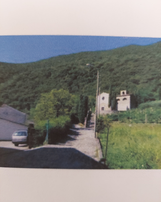 Bosco con Terreno